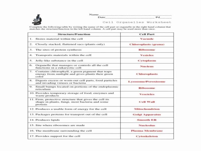 Cell organelle web quest answer key