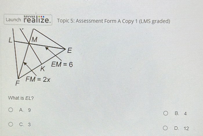 Topic 5 assessment form a answer key