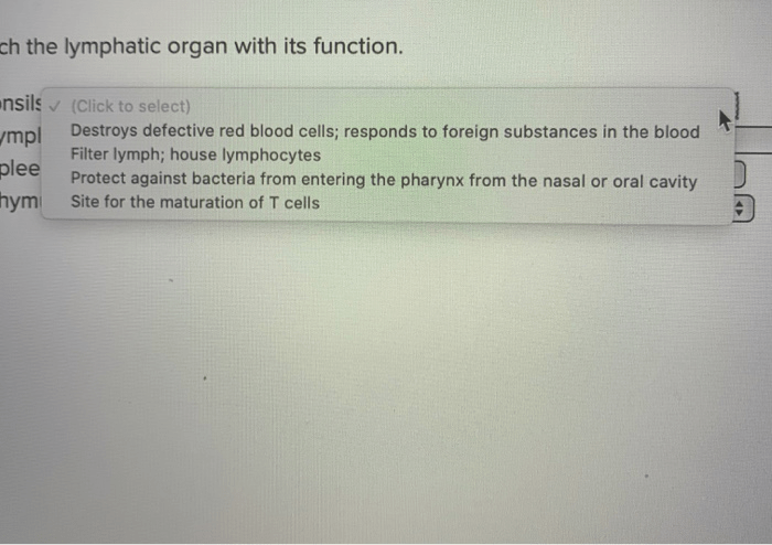 Match the lymphatic organ with its function