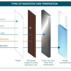 Permitting the passage of x rays