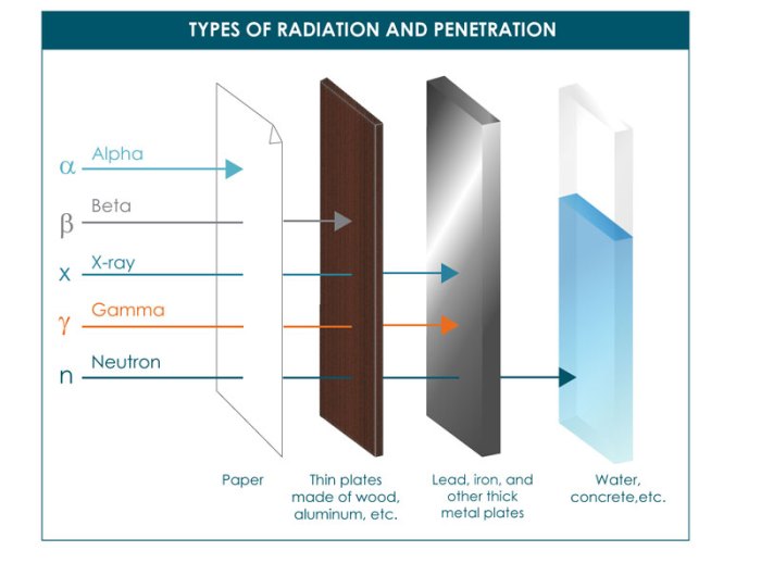 Permitting the passage of x rays