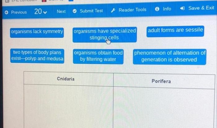 Match the characteristics to the correct phylum.