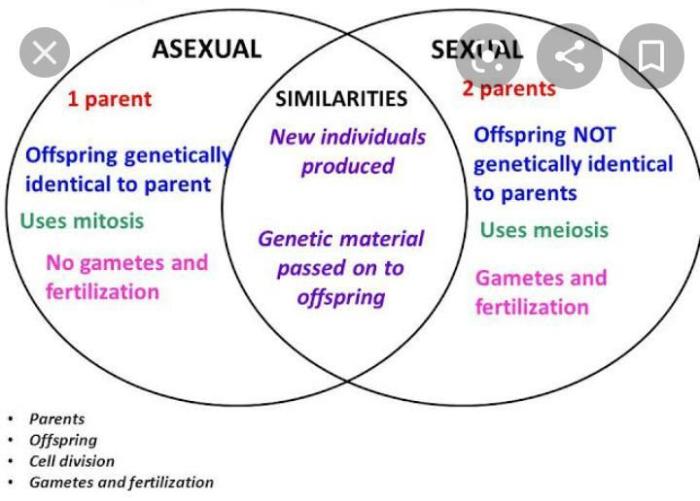 Asexual and sexual reproduction venn diagram