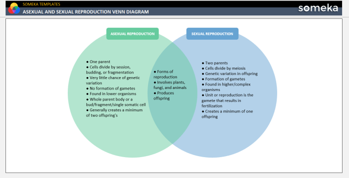 Asexual and sexual reproduction venn diagram