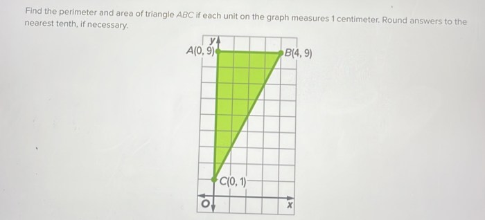 Nearest tenth round necessary area figure find if question options