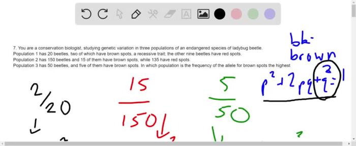 Allele effect genetic