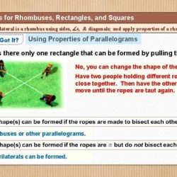 Properties rectangles squares geometry rhombuses