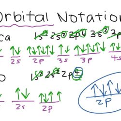 Orbitals and orbital notation homework answers