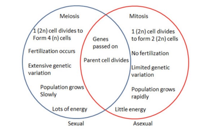 Reproduction sexual asexual venn diagram vs followers